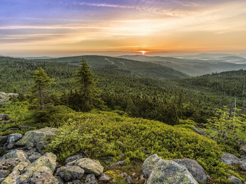 Which is more dangerous?  Skiing or snowboarding
